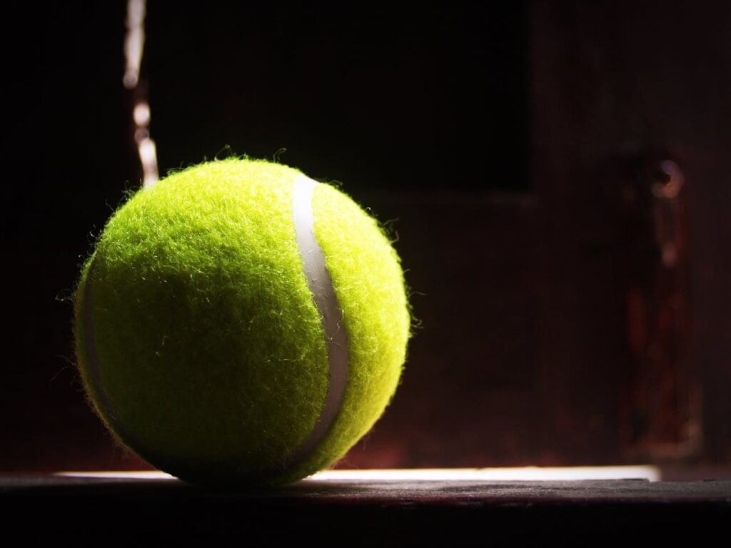 waarom tennisbal in droger